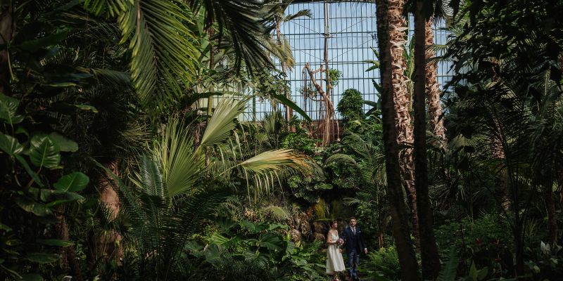 Hochzeit im Palmengarten